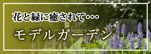 花と緑に癒される東和温泉のモデルガーデン